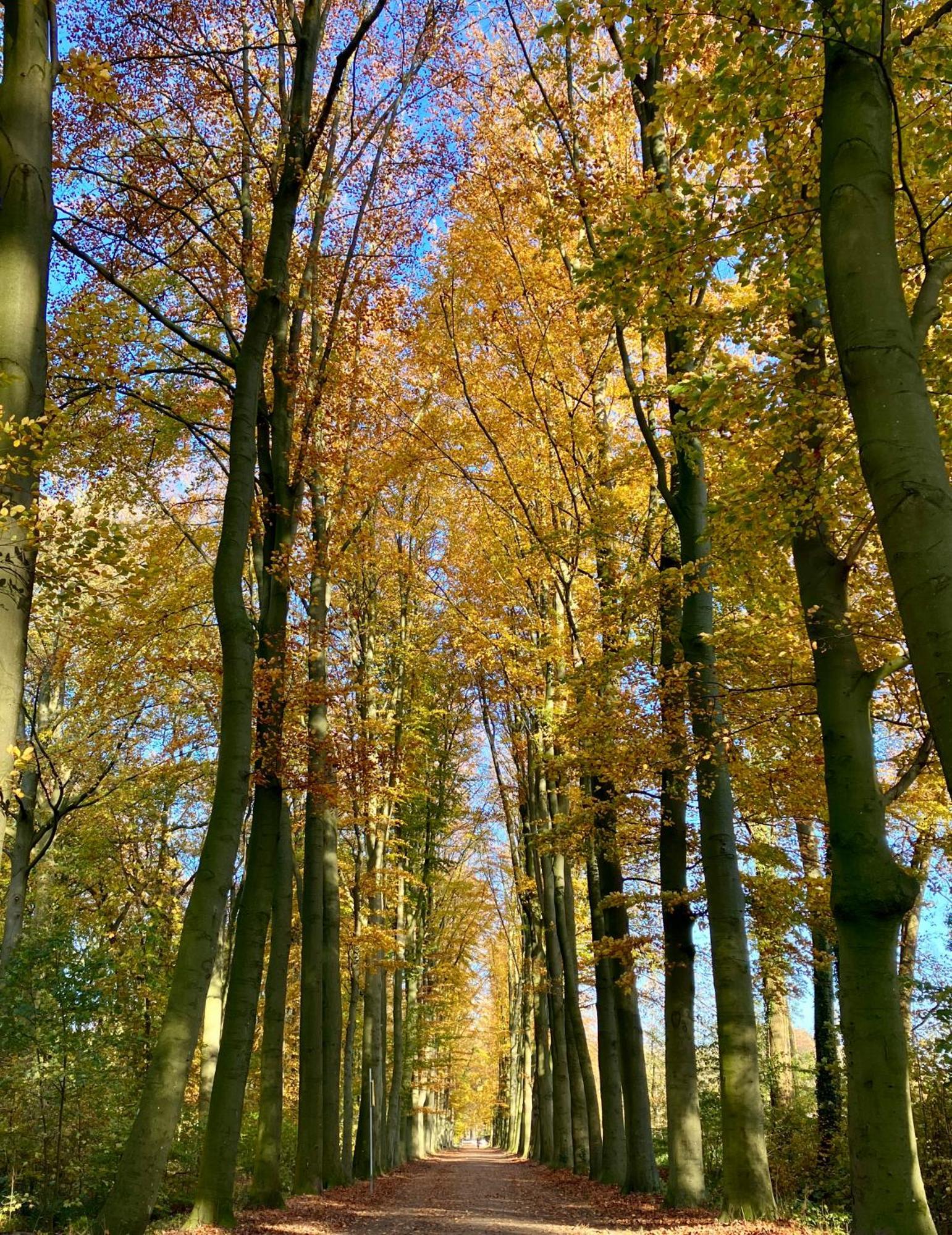 Waerdenhoeve Waardenburg Екстер'єр фото